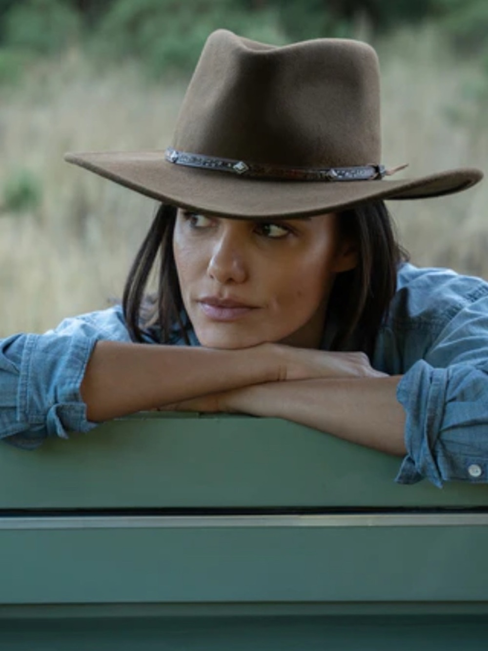 Stetson Wide-Brim Brown Wool Hat